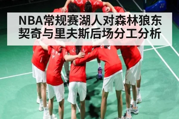 NBA常规赛湖人对森林狼东契奇与里夫斯后场分工分析